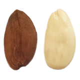 Avola almond: Fascionello variety